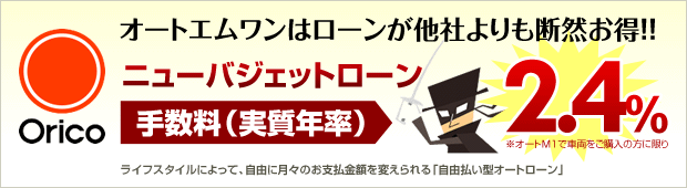ニューバジェットローン