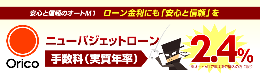 ニューバジェットローン